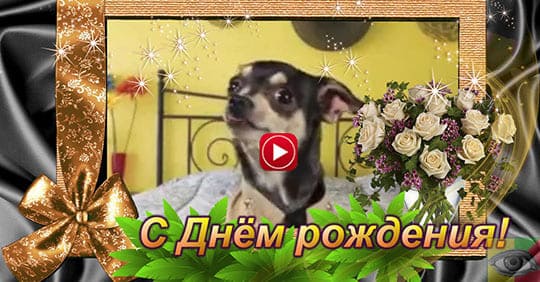 С Днем Рождения! Прикольное 