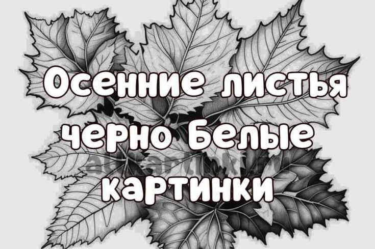 Посмотрите на Листья Осенний цвет листьев, Лист, белый, еда 