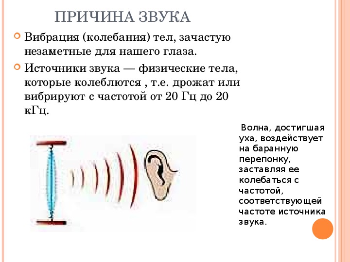 Презентация на тему