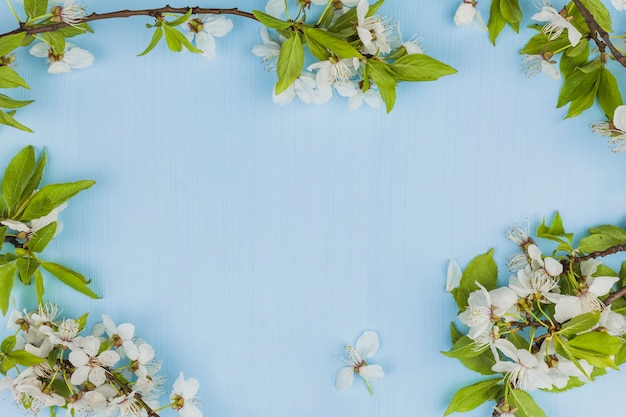 Обои цветы, фон, весна, яблоня, wood, blossom, flowers 