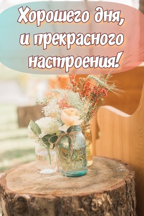 Хорошего Дня ! Отличного Настроения! Пожелание Удачного Дня 