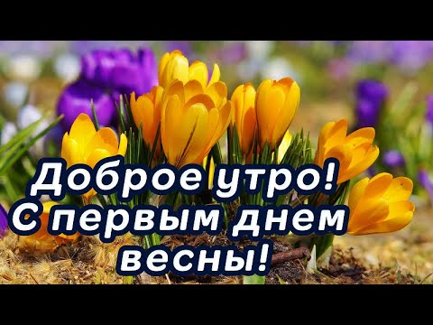 С Добрым Весенним Утром! Музыкальная 