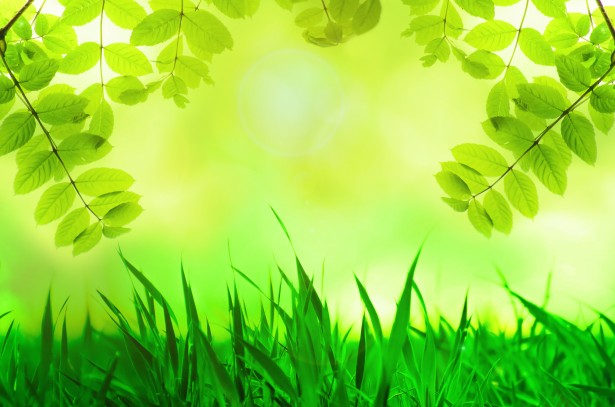 Green Christmas Background Stock 