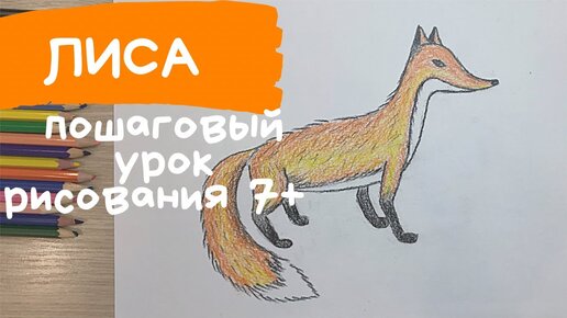 Рисунки лис для срисовки, 70 картинок 