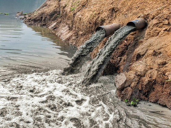 У истоков чистой воды 