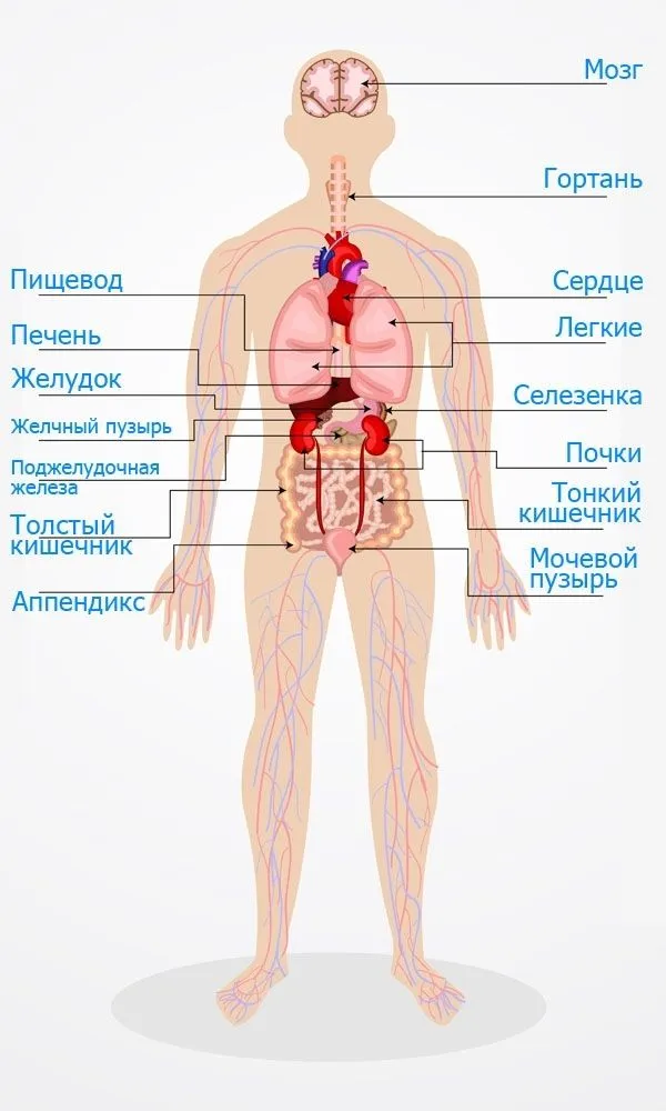 Страница 4 