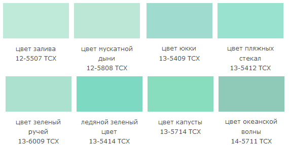 Серо-зеленый цвет и его сочетания 