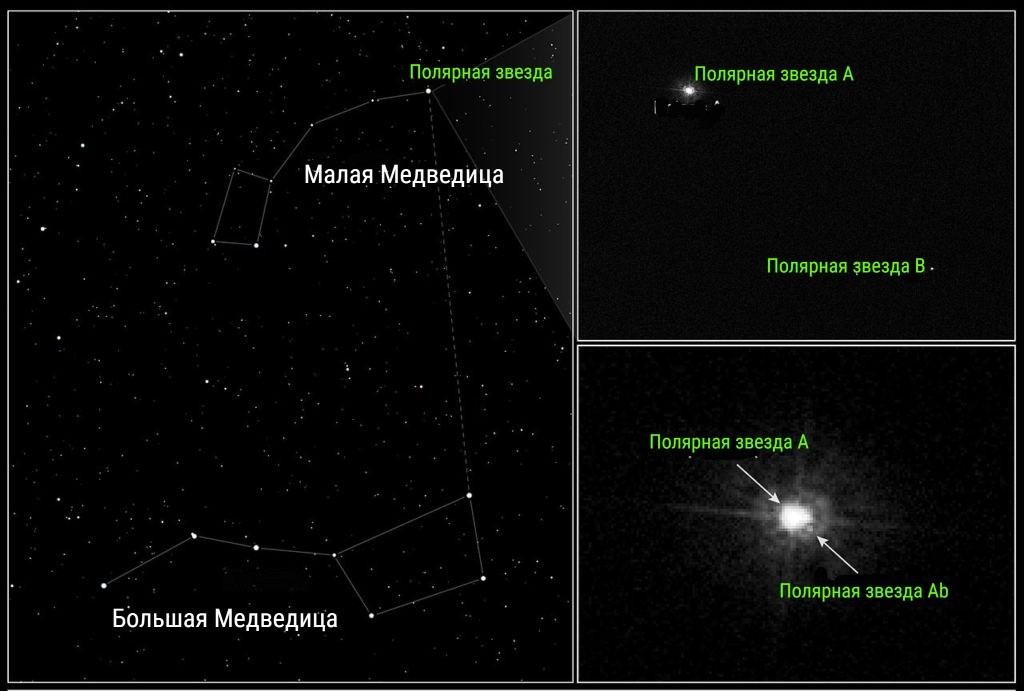 Более 2 300 работ на тему «большая медведица»