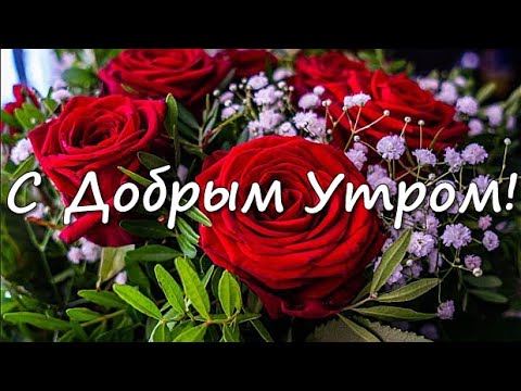 Красивые картинки Доброго нежного утра 