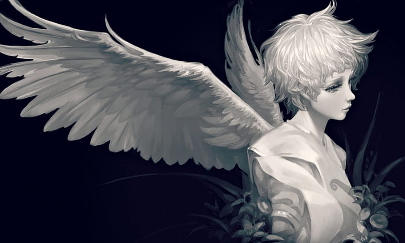 angel, wings, anime Character Portra 