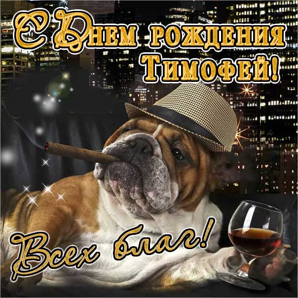 Тимофей, с днем рождения — Бесплатные 