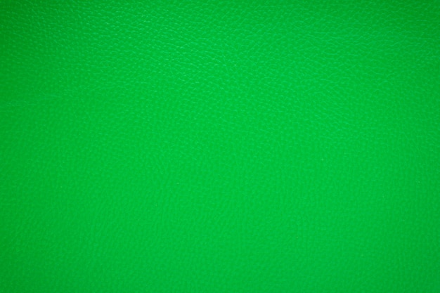 Green Aesthetic Wallpaper