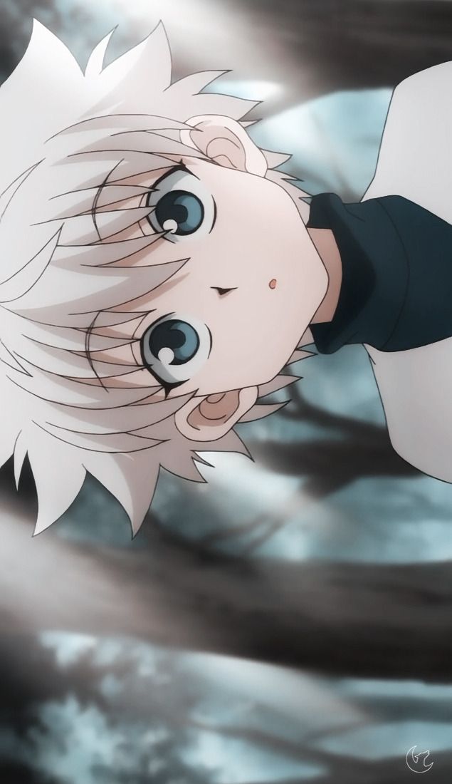 Hunter x hunter 1080P, 2K, 4K, 5K HD 