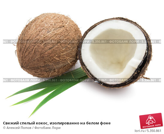 Скачать картинки Cocos, стоковые фото Cocos в хорошем 