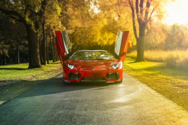 Lamborghini обои на рабочий стол в 