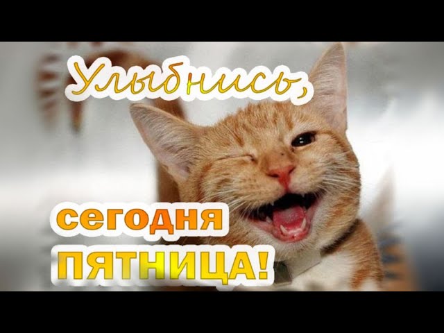 пятница доброе GIF