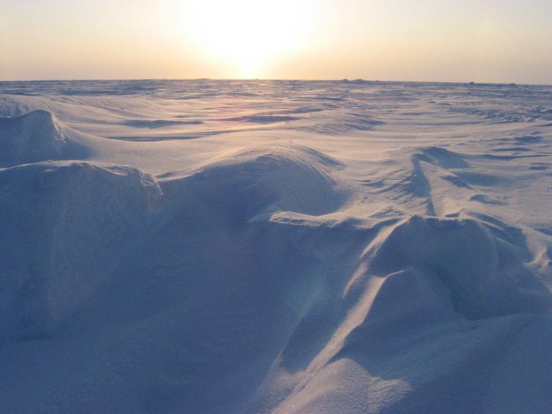 Бескрайние арктические пустыни 