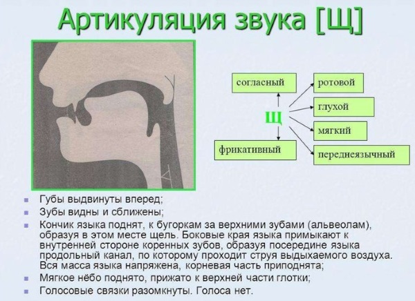 Постановка звуков