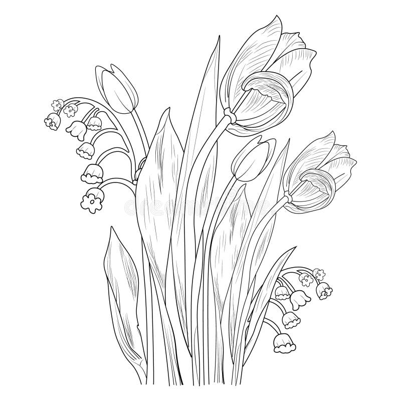 How to draw a tulip 