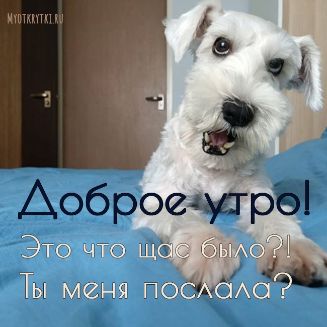 Открытки мерцающие анимационные блестящие GIF