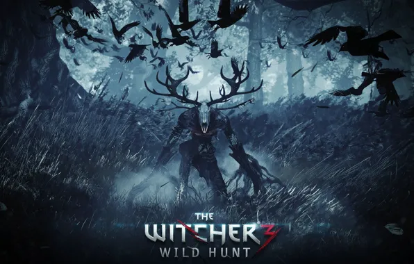 The Witcher 3 Wild Hunt Art Game Ultra 