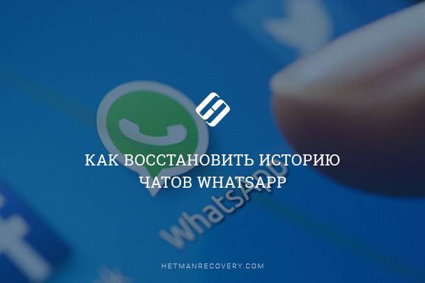 Как изменить фон в WhatsApp — поиск и выбор обоев чата