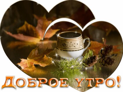 доброеутро#хорошегодня#осень#рассвет 