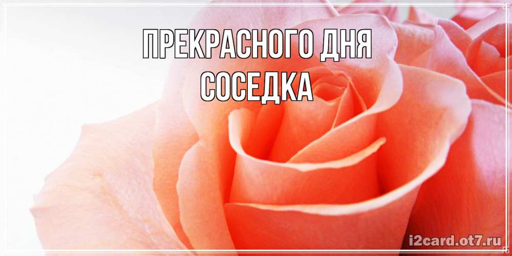 С днем рождения, соседка Поздравления 