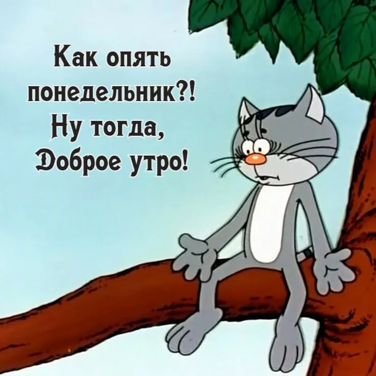 Доброе утро, кицюня 