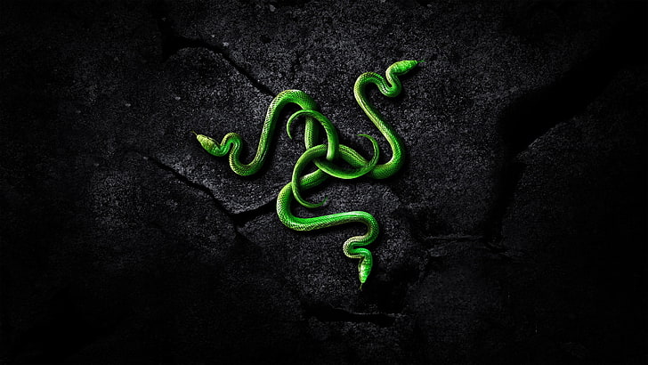 Razer Pc Logo With Green Gradient 