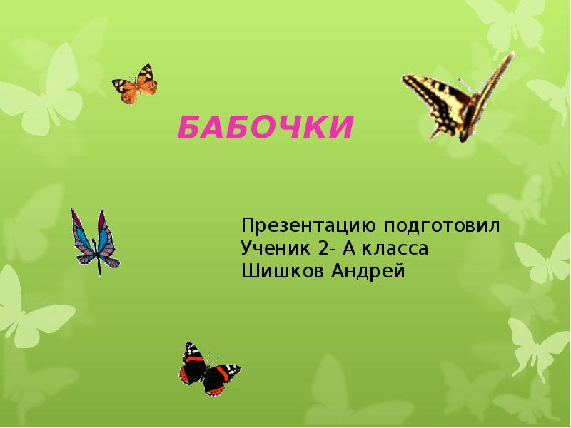 Цветы, бабочки и птицы