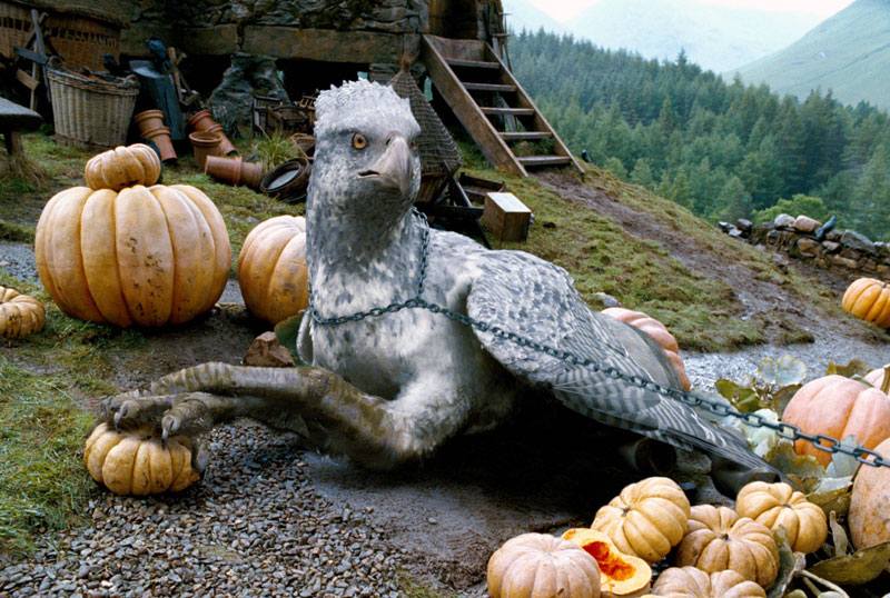 Клювокрыл из Гарри Поттера / Buckbeak from Harry Potter