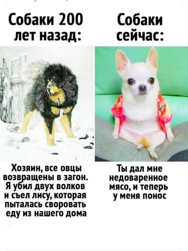 ▫️ С долгожданной пятницей друзья 