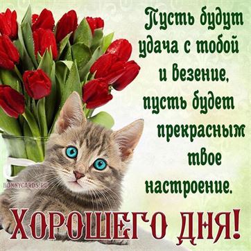 💗☕️Доброе Утро! Хорошего Дня!🌷Для 