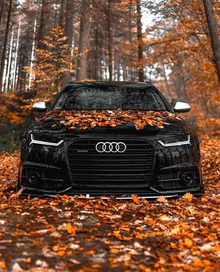 Audi Logo in Black & White Wallpaper