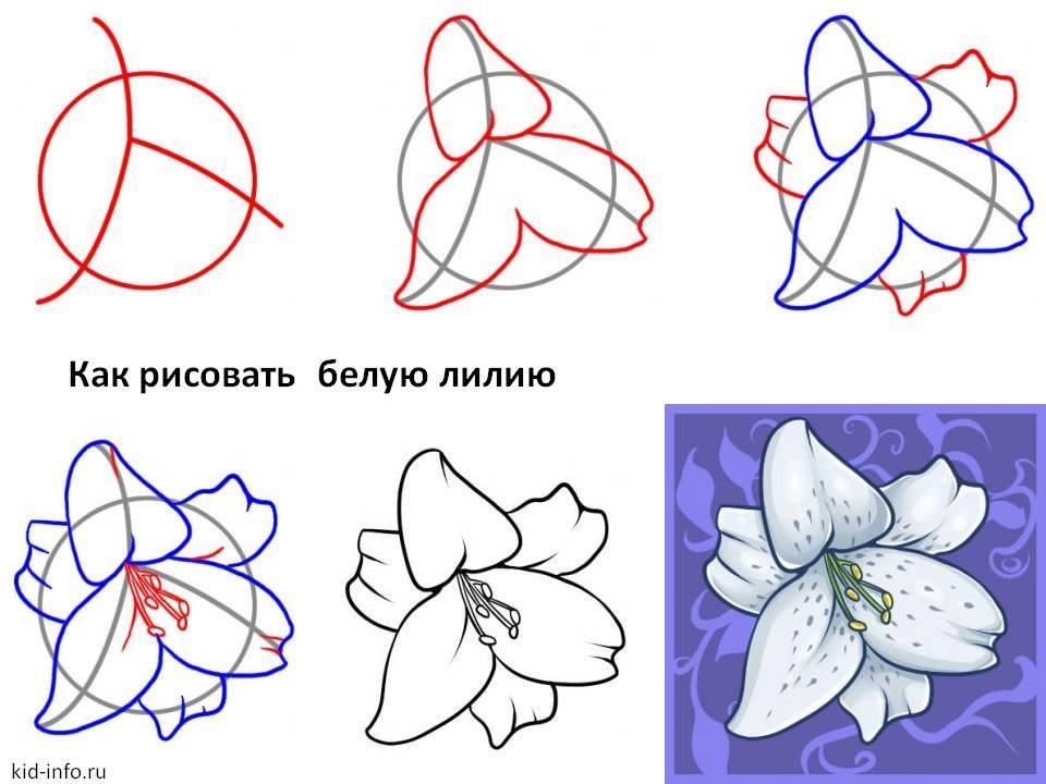 Холст «цветок яблони