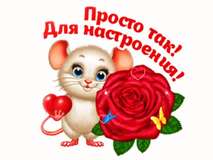 💐🌷💞💥🌹❤️ ДЕВОЧКИ ЭТО ДЛЯ ВАС, ПРОСТО ТАК, ДЛЯ 