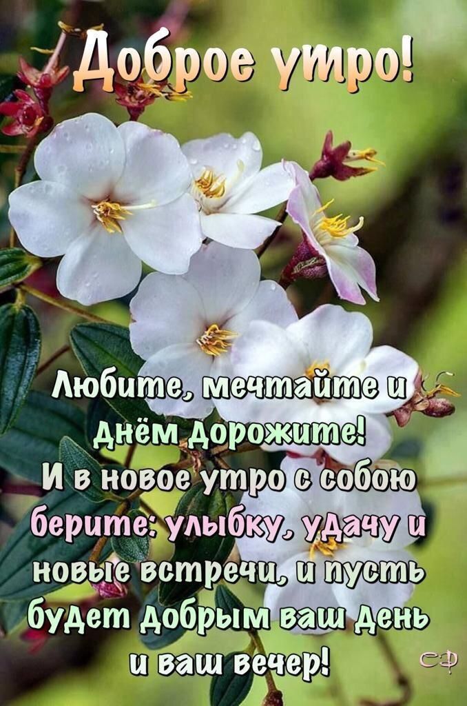 С Добрым Утром