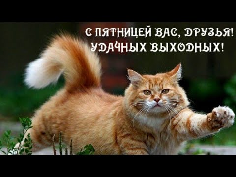 С ПЯТНИЦЕЙ! ЧУДЕСНЫХ ВЫХОДНЫХ 