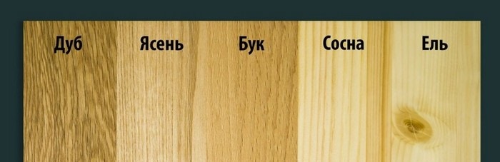 Особенности древесины бука 
