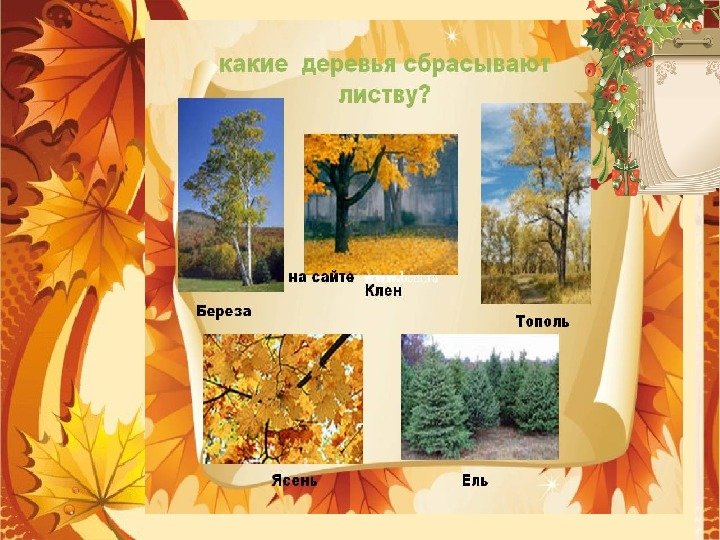 Календарь природы 0,8*0,56м