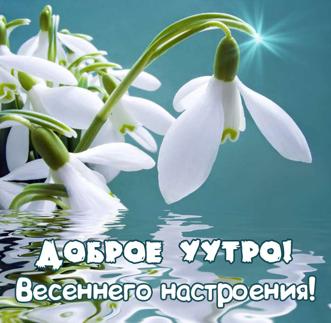 😃 Доброе утро красивые, весенние картинки с пожеланиями, с 