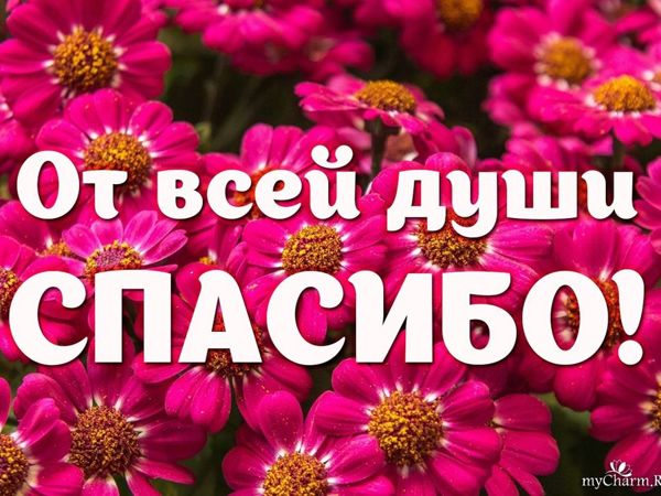 🔔Спасибо большое, друзья, за соболезнования и сочувствие 