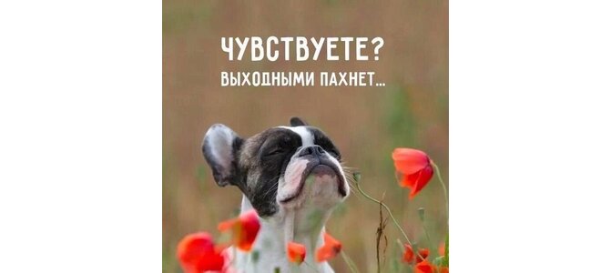 Чувствуете? Выходными пахнет! Доброе 