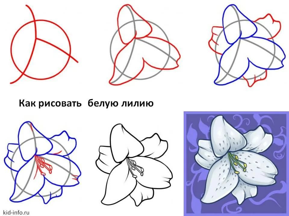 рисунок декоративных розовых цветов, цветок, цветы png 