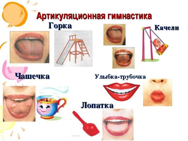 КОМПЛЕКСЫ АРТИКУЛЯЦИОННОЙ ГИМНАСТИКИ В 