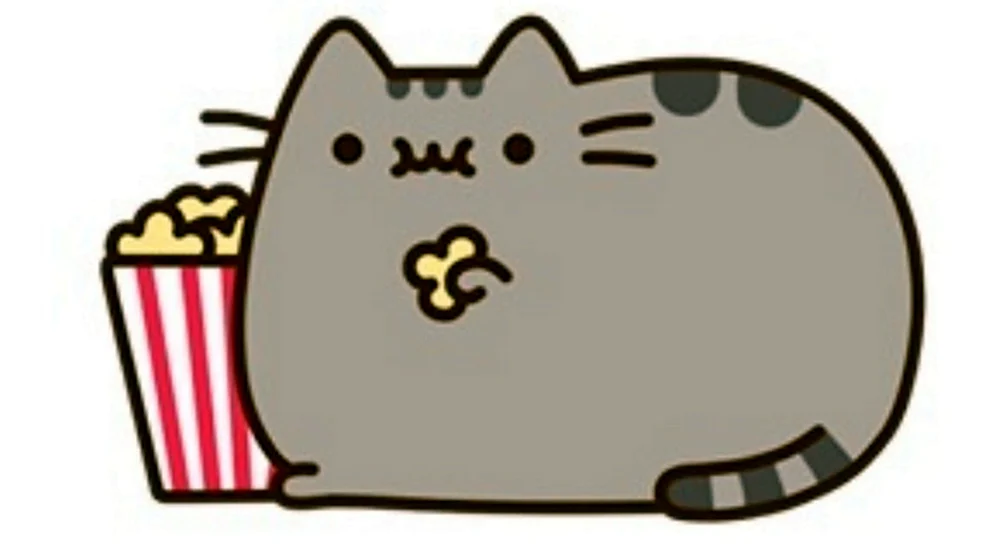 pusheen!! 🎀🐈