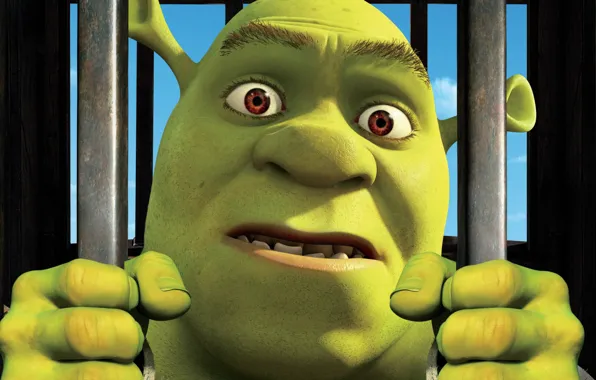 Обои Шрек, мультфильм, Shrek Forever After, Шрэк навсегда на 