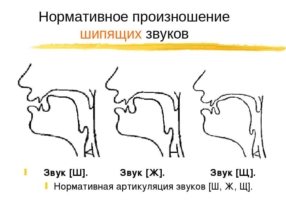 Артикуляционная гимнастика в картинках 