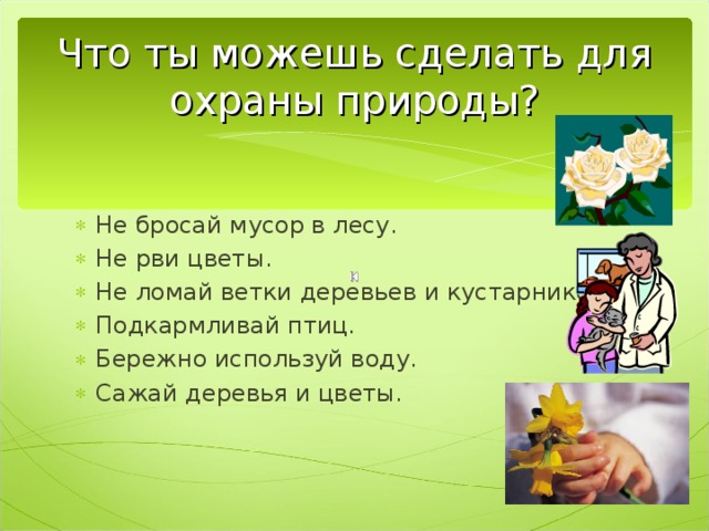 Презентация